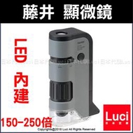 灰色 藤井 內建 LED 攜帶型 顯微鏡 UV紫外線燈 100-250倍 RXT300N 可調焦 迷你 LUCI日本代購