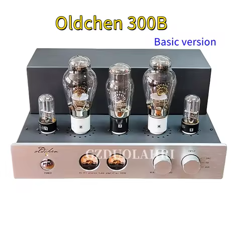 Oldchen 300B 9W*2 Tube Amplifier Single-ended Home Theater Pure Class A HIFI Tube Sound Amplifier wi