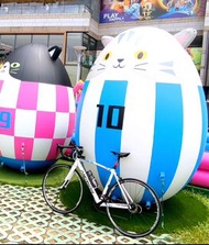 Merida 公路單車 Shimano 105 大套