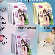 10 Pcs READY STOCK Winter Heat Pad Warm Pad Body Feet Foot Warmer Hot period pain period hot pad 暖宝宝