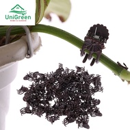 BUTTERFLY CLIP TO FIX ORCHIDS, Vines SIZE 1.5 x 2CM – UNIGREEN HOME &GARDEN