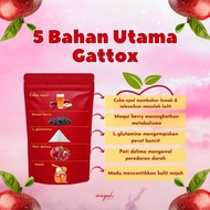 Guttox Fat Burner By Inayah Beauty HQ Original Hq