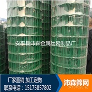 Dutch Net Orchard Plastic Coated Free Shipping Dutch Net  Welded Dutch Mesh Manufacturer Chicken Coo