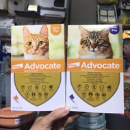 Advocate Cat nape drops prevent & kill fleas, lice, prevent ear scabies, prevent FDA for Kittens and