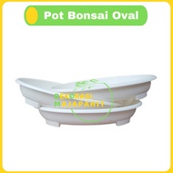 Bjp Bonsai Oval Ov 08 Putih Hitam Merah Bata Coklat Pot Bunga Plastik Bonsai Budi Jaya Motif Batu Al