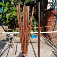 kayu teras Nibong Tunggal