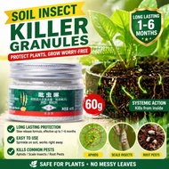 imidacloprid racun serangga Niv Soil Insecticide for Succulents & Flowers Systemic Control for Mealy