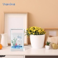 [Shamjina] Betta Fish Tank Amphibian Feeding Box Clear View Mini Goldfish Tank Multiuse for Living R