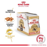 Royal Canin Adult Maine Coon Makanan Kucing Dewasa Maine Coon Wet