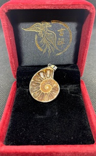 JX World 加持斑彩螺吊坠 Blessed Ammonite Pendant