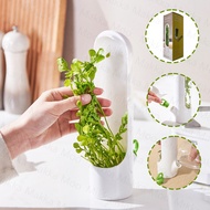 Storage Container Herb Stroage Vegetabledaun Onion Celery Basil Herb Keeper Container Spice Jar Vege