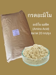 กรดอะมิโน อะมิโน แอซิด Amino Acid Powder ขนาด20กก/ถุง