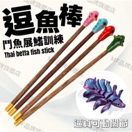 Next Day Delivery+Teasing Fish Stick Betta Training Tank Aquarium Guppy Aquatic Grass Rest Leaf Term