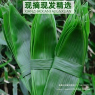 Zongye Leaves Fresh Large Slices Non-Freshly Picked Fresh Dried Large Leaves Dried Rice Dumpling Lea