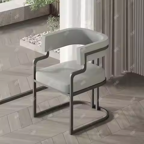 Light Luxury, Simple, Dining Chair, Premium, Reception Chair, High Value, Sofa Chair, Makeup Stool, 