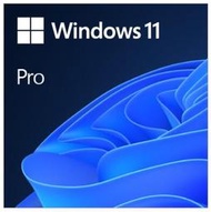 (含稅附發票)Microsoft Windows 11 中文專業隨機版-64位元 win11 pro