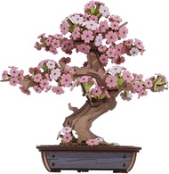 ROWOOD 3D Wooden Puzzle Bonsai DIY Pine Model Kit for Adults Create Your Own Wooden Construction Kit