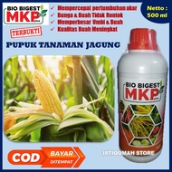 BIO BIGEST 500ML Pupuk Penyubur Bunga dan Buah Tidak Rontok Pada Tanaman Jagung yang Bagus dan Ampuh