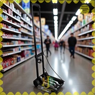 WPRO Trolley Mini Gallon Suitcase Folding Portable Luggage Cart 23x32cm 40kg - FPT-200 -MJD-