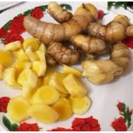 500G ULAM TEMULAWAK FRESH