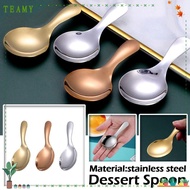 TEAMY 2 Pcs Ice Cream Spoon Spice Coffee Kids Stainless Steel