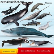 T Tongde Whale Model Sea Animal Toy Children Simulation Beluga Blue Whale Head Whale Killer Whale Sp