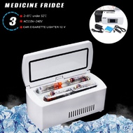 Portable Travel Medicine Freezer Diabetic Insulin Cooler Mini Fridge Case Box