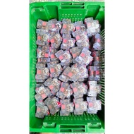 MCB DC 32A & 63A Electric Bike Electric Motorcycle Flood Victim