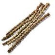 Seruntun/patawali/petawali/gali stem (6 stem cuttings 1 pack) 50 cents a stem