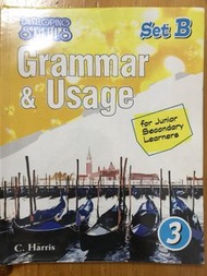 Grammar & Usage Set B 3
