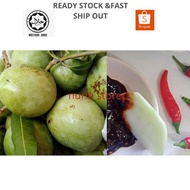 Buah mangga muda/buah mangga epal/buah pauh epal