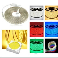 Outdoor LED Strip Light 5050 (1m -100m) AC 220v Meter