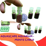 BIBIT BENIH TANAMAN AIR CARPET SEED AQUASCAPE AQUARIUM - MONTE CARLO