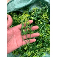 500g Plastic Grass Lining Fruit Basket Flower Arrangement Decorative Wax Flowers Silk Flowers Decor 