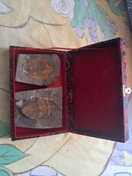 精美三葉蟲化石連錦盒