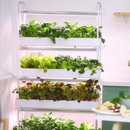 智能水培種植機無土栽培蔬菜草莓種植箱多層家庭陽臺亞