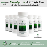 (12 กระปุก ส่งฟรี!!) ผักอัดเม็ด Wheatgrass & Alfalfa Plus อาหารเสริมแอมสตรอง วีทกราส อัลฟัลฟ่า พลัส 