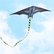 平穩易飛永健飛機風箏大人專用大型專業級隱形戰鬥機高檔傘布特大