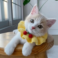 Cute Cat Bow Collar Breakaway Floral Aesthetic Cats Bowtie Collar Knitted for Indoor Cats Kitten and