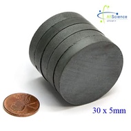 Ceramic Round Strong Magnet ( 10mm - 30mm )