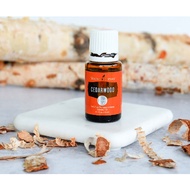 Cedarwood Essential Oil 15ml YL