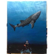 Draw A View Place Acrylic Color Canvas Frame (40x60cm) (60x80cm)