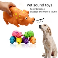 New dog chew and puzzle toy pig sound latex venting toy for puppy