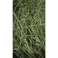 Super Premium Timothy Hay 【Single Compression】 【Dust filtration】