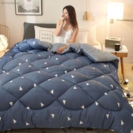 Hot-Sell Winter Warm Microfiber Comforter Quilt Queen/King Size