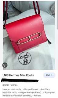 Hermes Roulis Mini