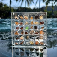 Acrylic Magnetic  Display Box  Small accessories Seashell Display Box  Diamond Storage Box