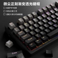 Dust is engraved with light transmission key cap mechanical keyboard from VGN tarantula belly spirit