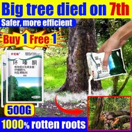 racun pokok kayu besar  Rot directly to the root Suitable for killing all types of trees racun pokok
