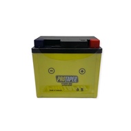 BATTERY PROTAPER RS150 RSX YTZ6S YTZ6